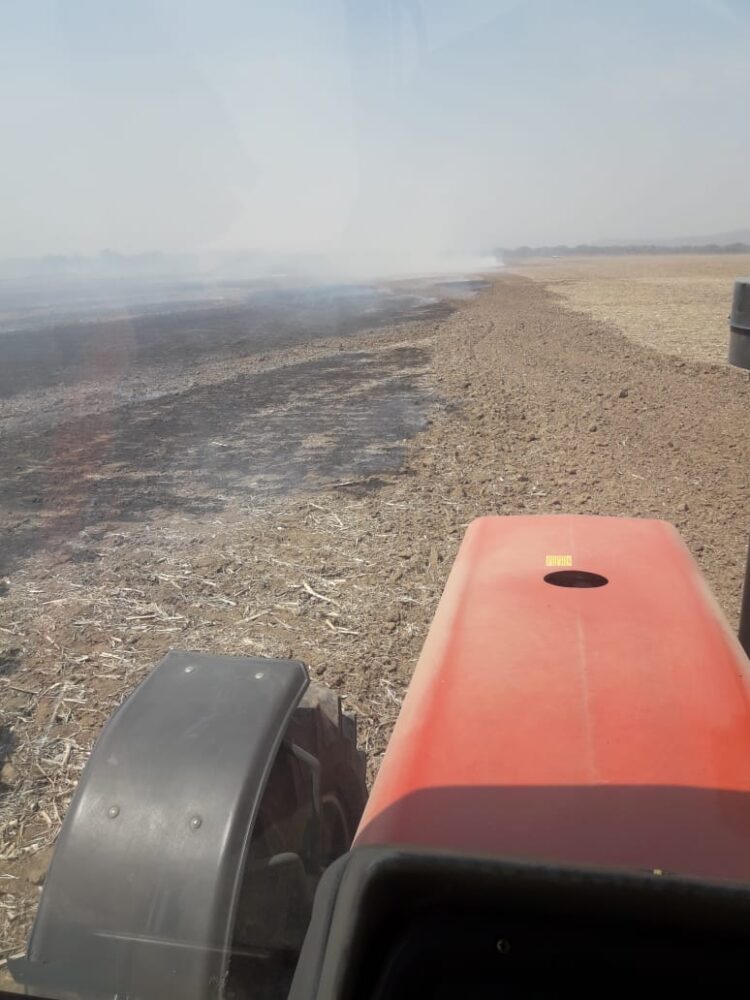 A Jorge Cignetti se le quemó el campo en San Luis, mientras la política le impedía ingresar: “Lo más preciado que teníamos era la cobertura, que es la vida del suelo”
