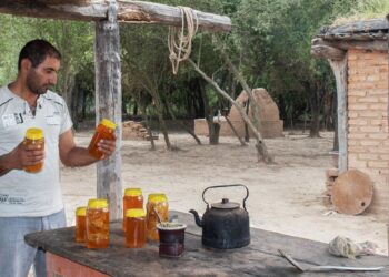 Apicultura en El Impenetrable: Rogelio Soraire dice que se a va dedicar a las abejas toda su vida