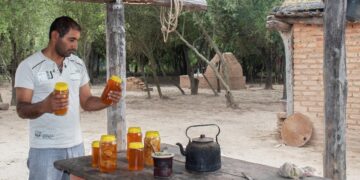 Apicultura en El Impenetrable: Rogelio Soraire dice que se a va dedicar a las abejas toda su vida