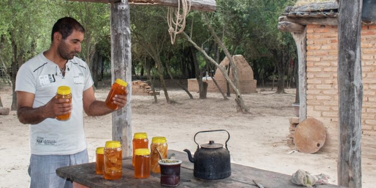 Apicultura en El Impenetrable: Rogelio Soraire dice que se a va dedicar a las abejas toda su vida