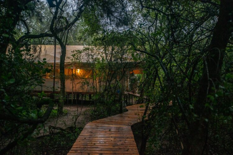 Apicultura en El Impenetrable: Rogelio Soraire dice que se a va dedicar a las abejas toda su vida