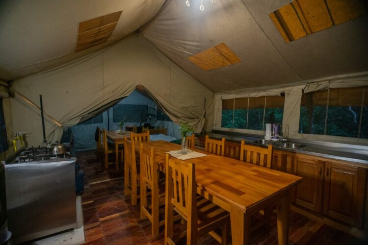 Apicultura en El Impenetrable: Rogelio Soraire dice que se a va dedicar a las abejas toda su vida