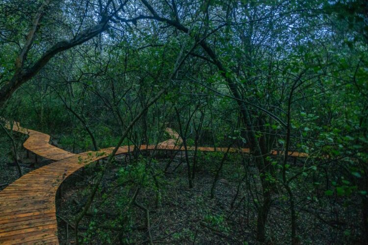 Apicultura en El Impenetrable: Rogelio Soraire dice que se a va dedicar a las abejas toda su vida