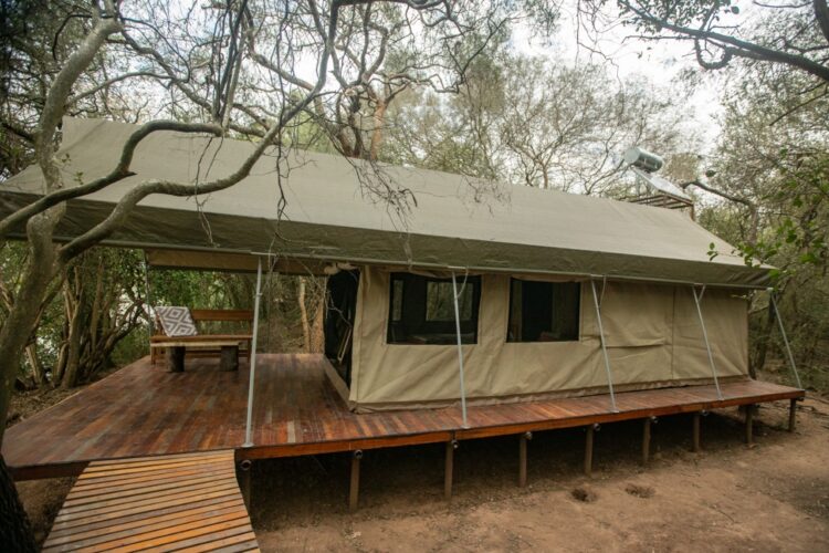 Apicultura en El Impenetrable: Rogelio Soraire dice que se a va dedicar a las abejas toda su vida