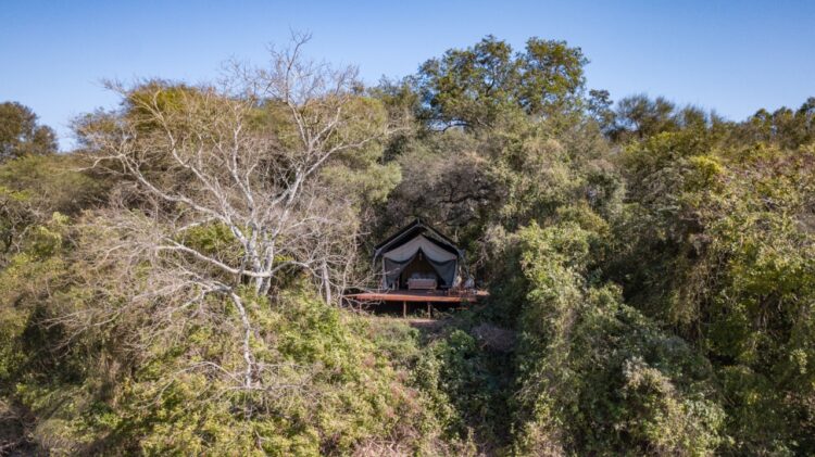 Apicultura en El Impenetrable: Rogelio Soraire dice que se a va dedicar a las abejas toda su vida