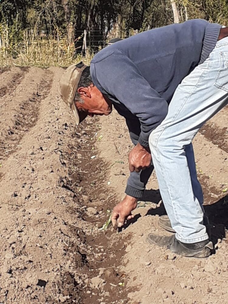 En Traslasierra, a falta de ferias por el Covid 19, los bolsones agroecológicos acercan a los productores con el consumidor