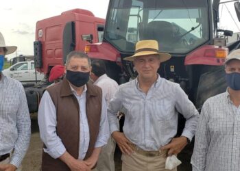 A pesar de la evidencia y el fastidio de todo el agro, la justicia rechazó el desalojo del campo de los Etchevehere