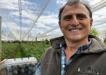 Tras la semana del arándano, Alejandro Pannunzio lamenta la poca bola del gobierno a las necesidades de esa economía regional