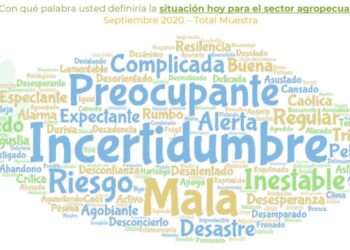 Primera encuesta de AmplificAgro: Casi 83% de los productores rechaza la política agropecuaria de Alberto y Basterra