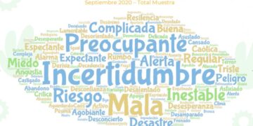 Primera encuesta de AmplificAgro: Casi 83% de los productores rechaza la política agropecuaria de Alberto y Basterra