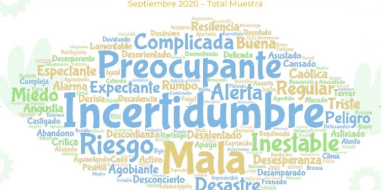 Primera encuesta de AmplificAgro: Casi 83% de los productores rechaza la política agropecuaria de Alberto y Basterra