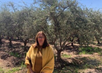 Sin miedo a la reconversión, Viviana Bertero erradicó sus vides en Mendoza para elaborar un aceite de oliva premium