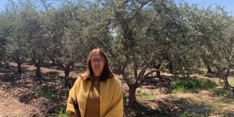 Sin miedo a la reconversión, Viviana Bertero erradicó sus vides en Mendoza para elaborar un aceite de oliva premium