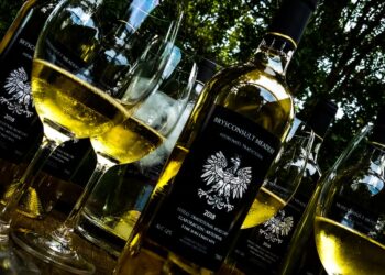 Un emprendedor en medio de la selva misionera: Fenando Brys elabora un singular vino de miel