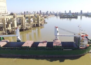 Cancillería celebra: Una empresa estatal china promete incrementar 25% sus compras de poroto de soja