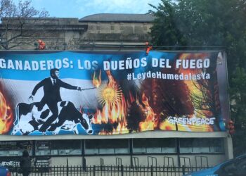 Trompadas a veganos y un Pelegrina incendiario montado en una vaca lechera: La tensión con los “anti-carne” y los ambientalistas no para de crecer