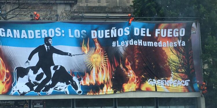 Trompadas a veganos y un Pelegrina incendiario montado en una vaca lechera: La tensión con los “anti-carne” y los ambientalistas no para de crecer