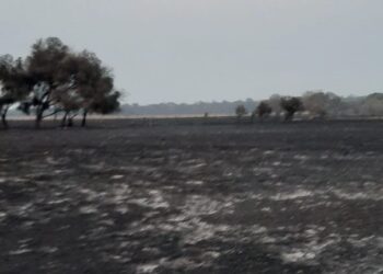 Al chaqueño Oscar Muchutti se le quemó el campo en dos horas: “Fue terrorífico, mi infraestructura quedó destruida”