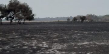 Al chaqueño Oscar Muchutti se le quemó el campo en dos horas: “Fue terrorífico, mi infraestructura quedó destruida”