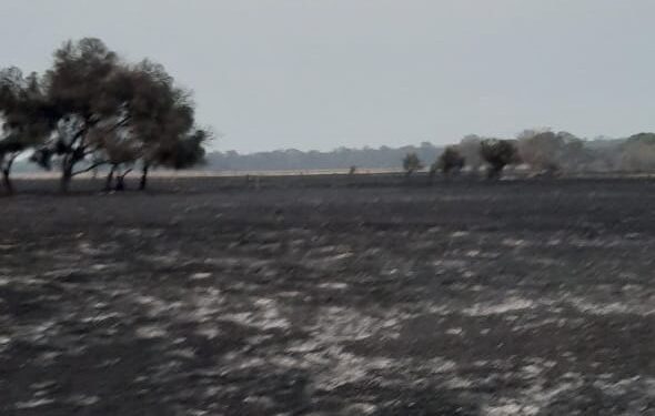 Al chaqueño Oscar Muchutti se le quemó el campo en dos horas: “Fue terrorífico, mi infraestructura quedó destruida”