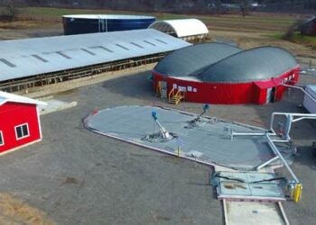 ¿Cómo funciona el biodigestor cooperativo de General Cabrera? Produce energía con un poco de bosta y otro poco de maní