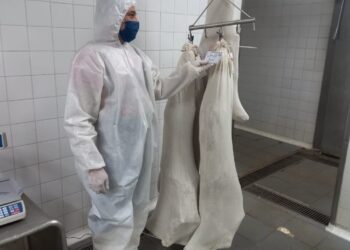 Más provincias de suman a la carrera por exportar carne caprina: después del caso chaqueño, Córdoba y Mendoza ponen sus ojos en mercados de Asia