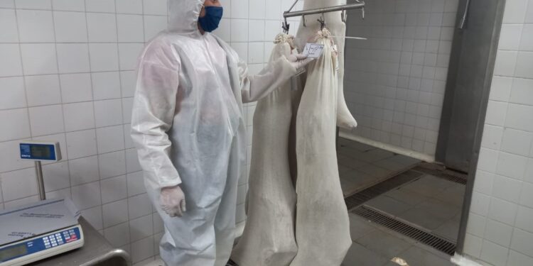 Más provincias de suman a la carrera por exportar carne caprina: después del caso chaqueño, Córdoba y Mendoza ponen sus ojos en mercados de Asia