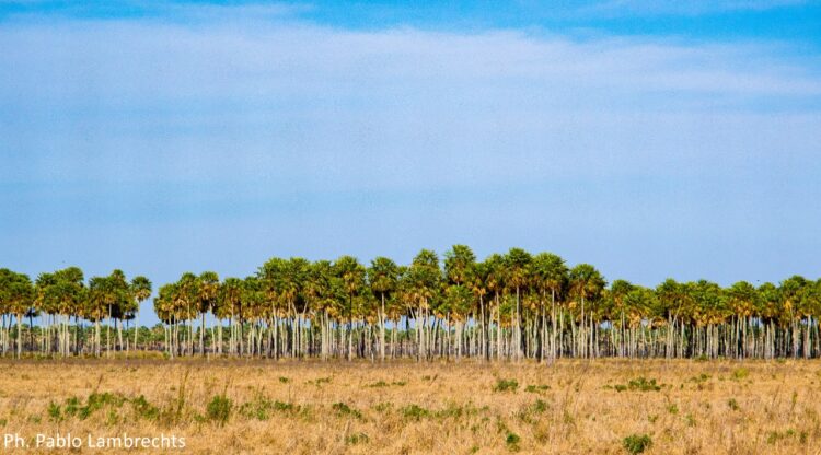Daily Geraldo trabaja en un campo ganadero en Formosa y afirma que las mujeres rurales “podemos acceder a muchas cosas, pero con educación y esfuerzo”