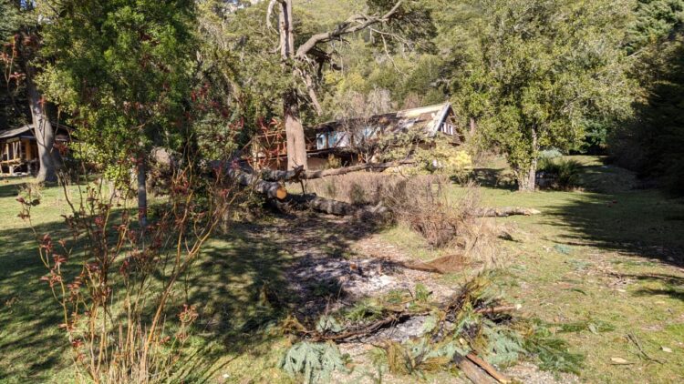 Villa Mascardi: La comunidad Lafken Winkul Mapu continúa con la toma de tierras en la zona y ya ocupó el predio de Gas del Estado