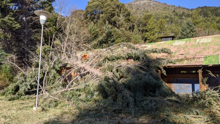 Villa Mascardi: La comunidad Lafken Winkul Mapu continúa con la toma de tierras en la zona y ya ocupó el predio de Gas del Estado