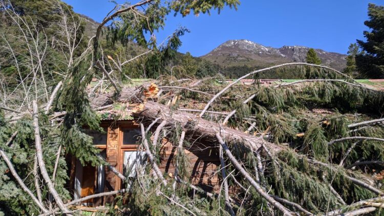 Villa Mascardi: La comunidad Lafken Winkul Mapu continúa con la toma de tierras en la zona y ya ocupó el predio de Gas del Estado