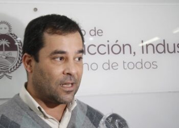 Sebastián Lifton, ministro de Producción del Chaco, no cree que los 4.000 incendios sean intencionales: “El que pierde la infraestructura es el productor”, razonó
