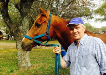 La historia de Cruzado: El caballo argentino que hizo capote en el mundial de Endurance y ya tiene seis clones