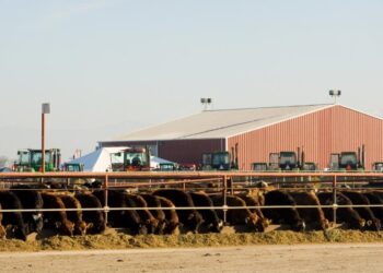 La justicia de Estados Unidos desestimó una denuncia por cartelización de los grandes grupos frigoríficos