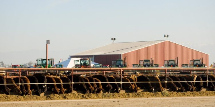 La justicia de Estados Unidos desestimó una denuncia por cartelización de los grandes grupos frigoríficos