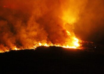 Sebastián Lifton, ministro de Producción del Chaco, no cree que los 4.000 incendios sean intencionales: “El que pierde la infraestructura es el productor”, razonó
