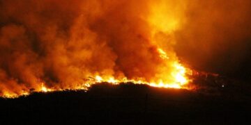 Sebastián Lifton, ministro de Producción del Chaco, no cree que los 4.000 incendios sean intencionales: “El que pierde la infraestructura es el productor”, razonó