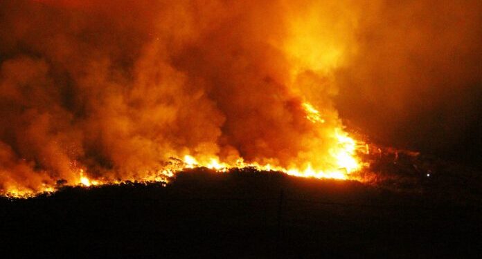 Sebastián Lifton, ministro de Producción del Chaco, no cree que los 4.000 incendios sean intencionales: “El que pierde la infraestructura es el productor”, razonó