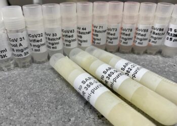 Dos recetas argentinas contra el coronavirus: Nebulizaciones con moléculas de llamas y gotitas de yema de huevo