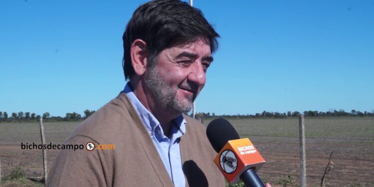 ¿Por qué están tan enojados los productores? “El gobierno está aplicando políticas que generan incertidumbre”, opina el cordobés Luis Magliano