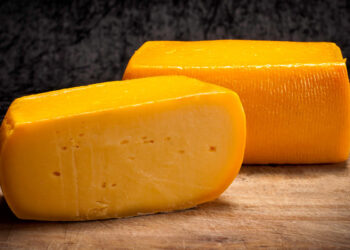 Con apoyo japonés, Tandil se pone a trabajar para consolidar el “queso banquete”