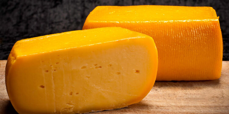 Con apoyo japonés, Tandil se pone a trabajar para consolidar el “queso banquete”