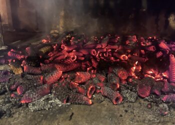 ¿Marlos de maíz en vez de carbón? “El Planeta nos está dando señales del daño que le estamos haciendo”, explica Martín Sffaeir