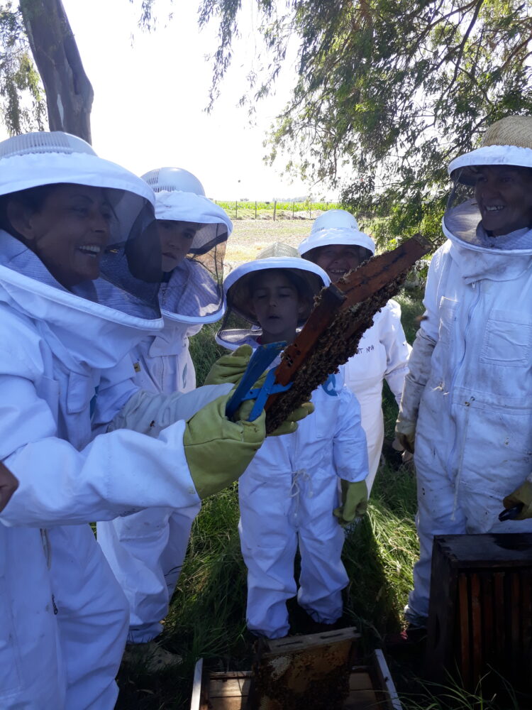 Reinas de Corazones: Mujeres se organizan de modo solidario para producir miel y así logran tener una oportunidad de ingresos propios