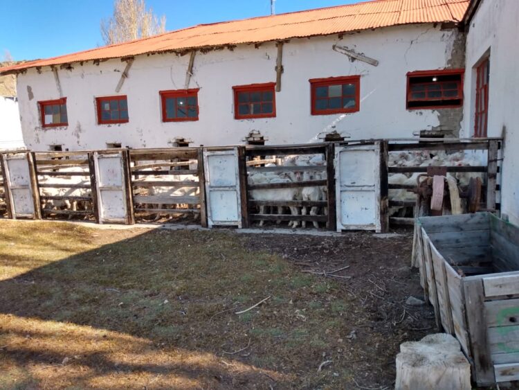Antonio y María Victoria resisten en la Patagonia profunda: Cuando el turismo rural es el manotazo para no largar todo