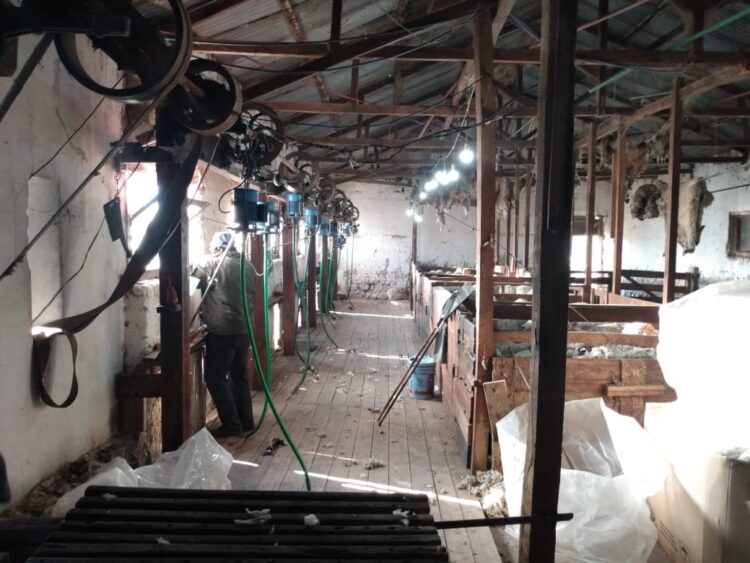 Antonio y María Victoria resisten en la Patagonia profunda: Cuando el turismo rural es el manotazo para no largar todo