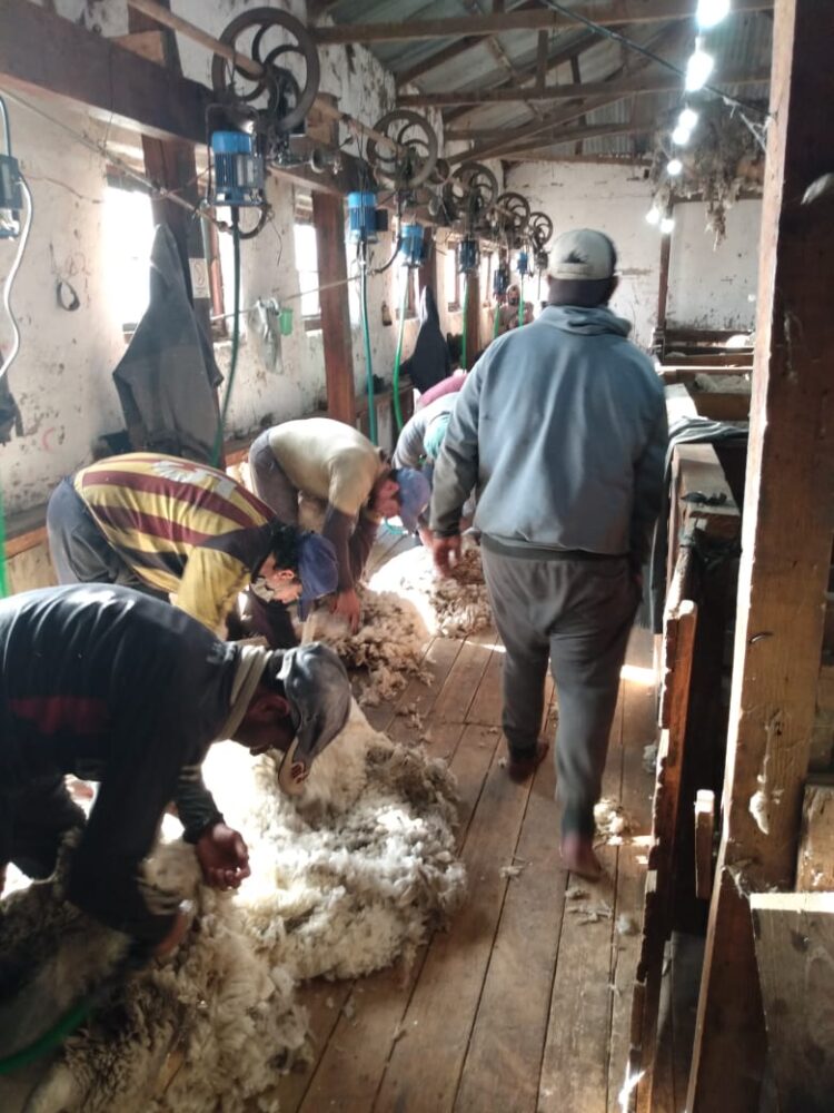 Antonio y María Victoria resisten en la Patagonia profunda: Cuando el turismo rural es el manotazo para no largar todo