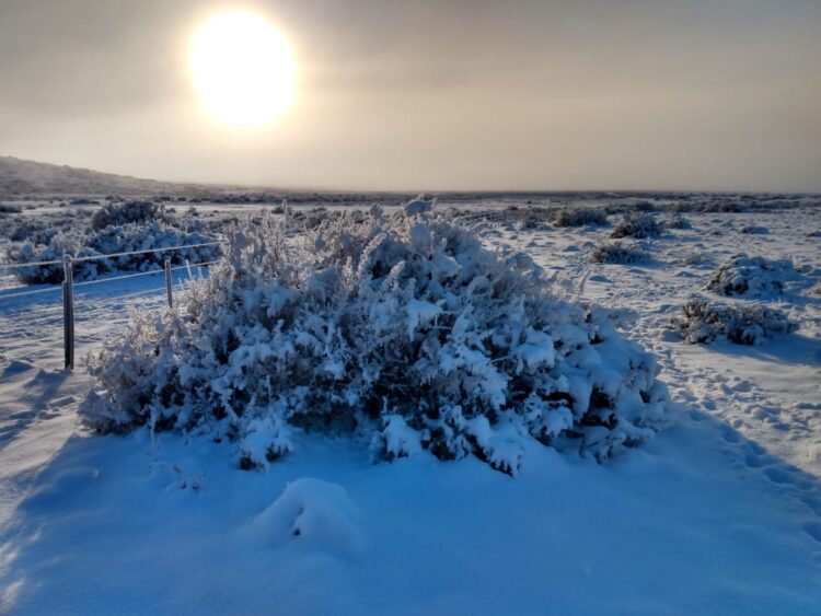 Antonio y María Victoria resisten en la Patagonia profunda: Cuando el turismo rural es el manotazo para no largar todo