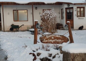 Antonio y María Victoria resisten en la Patagonia profunda: Cuando el turismo rural es el manotazo para no largar todo