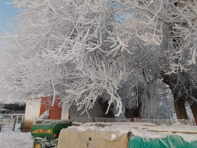 Antonio y María Victoria resisten en la Patagonia profunda: Cuando el turismo rural es el manotazo para no largar todo